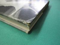 ヒメギフチョウ : 生態写真