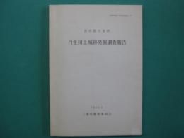 丹生川上城跡発掘調査報告