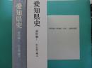 愛知県史　資料編１　旧石器・縄文　考古１