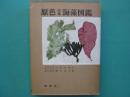 原色日本海藻図鑑 ＜保育社の原色図鑑 ; 第18＞