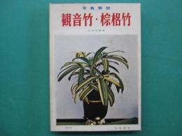 観音竹・棕梠竹 : 写真解説