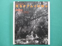 光るナナムイの神々 : 沖縄・宮古島・西原 : 1997～2001