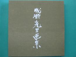 成瀬光男画集