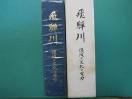 飛騨川 : 流域の文化と電力