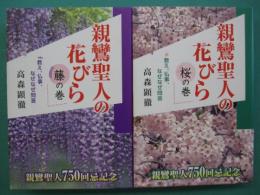 親鸞聖人の花びら : 教え、仏事、なぜなぜ問答