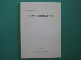 ヌタブラ遺跡発掘報告書