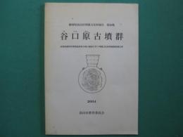 谷口原古墳群 : 産業廃棄物管理型最終処分場の建設に伴う埋蔵文化財発掘調査報告書