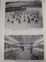 長野県教育史　第13巻　史料編 7 ： 明治40年～大正8年