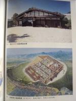 飯島町誌　中巻 ： 中世・近世編