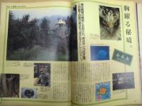 Tarzan ターザン　No.29　1987/6/10