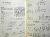 愛知県史　資料編 1　考古 1　旧石器・縄文