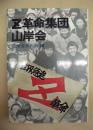 Z革命集団・山岸会 : その理論と行動