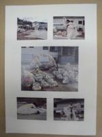 紀州鉱山で亡くなった朝鮮人を追悼する碑除幕集会 報告と記録 ： 付 「追悼の場」への課税にたいして