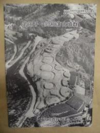 若王子・釣瓶落古墳群 : 志太広域都市計画蓮華寺池公園事業に伴う文化財調査概要