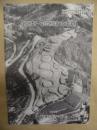 若王子・釣瓶落古墳群 : 志太広域都市計画蓮華寺池公園事業に伴う文化財調査概要