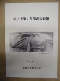 浪ノ上第1号墳調査概報