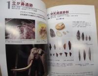 信州で最初に暮らした人びと : 旧石器時代ガイドブック