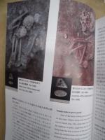 ［図録］ ケルク新石器時代墓地にみる生と死