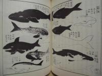 尾張名所図会遺稿 小治田之真清水　全