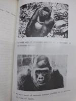 INTERSPECIES RELATIONSHIPS OF PRIMATES IN THE TROPICAL AND MONTANE FORESTS　1　1989