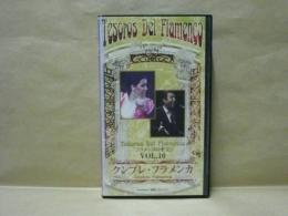 ［VHSビデオ］　フラメンコの至宝 Vol.10　クンブレ・フラメンカ