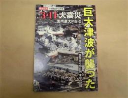 巨大津波が襲った　3・11大震災 : 発生から10日間の記録 : 緊急出版特別報道写真集