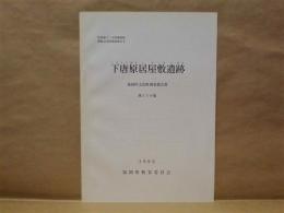 下唐原居屋敷遺跡　県道東下・中津線関係埋蔵文化財調査報告 1