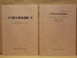 ［2点］ 下月隈天神森遺跡 2、下月隈天神森遺跡 3