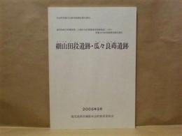 細山田段遺跡・瓜々良蒔遺跡