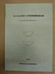 北小木大谷洞31・32号窯発掘調査報告書