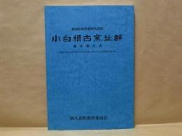 小白根古窯址群調査報告書　愛知県知多郡阿久比町 ： 内陸用地造成事業阿久比中部地区埋蔵文化財発掘調査報告書