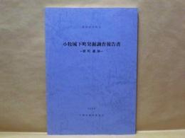 小牧城下町発掘調査報告書 ： 新町遺跡　愛知県小牧市