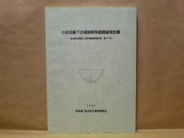 小名田窯下古窯跡群発掘調査報告書