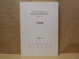 谷遺跡　四国横断自動車道建設に伴う埋蔵文化財発掘調査報告 第五十二冊