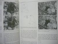 ［英文］ PRIMATES　40点