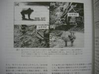 ［3点］ 霊長類研究　2010（Vol.26）No.1、Supplement（増補版）、No.2