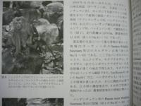 ［3点］ 霊長類研究　2012（Vol.28）No.1、Supplement（増補版）、No.2
