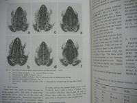 ［36点］ ZOOLOGICAL SCIENCE　 Vol.1 No.1、No.2、No.3、No.4、No.5、No.6、Vol.2 No.1、No.2、No.4、No.5、No.6、Vol.4 No.1、No.2、No.4、Vol.5 No.1、No.5、Vol.6 No.2、Vol.7 No.1、補巻（1990.3）、No.2、No.3、No.4、No.5、No.6、Vol.8 No.1、No.2、No.3、No.4、No.5、No.6、Vol.9 No.1、No.2、No.3、Vol.10 No3、補巻（1993.11）、No.6