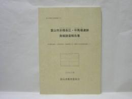 富山市水橋金広・中馬場遺跡発掘調査報告書　県営農免農道（上条南部地区）整備事業に伴う埋蔵文化財発掘調査報告（2）