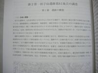 志木市遺跡群 14 　田子山遺跡第81地点 西原大塚遺跡第65地点