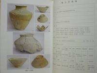 上県2号窯跡　第8次発掘調査概要報告書　岐阜県中津川市