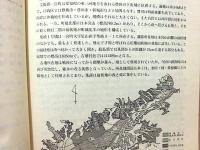 愛知県宝飯郡一宮町 柴崎第1号墳発掘調査報告書