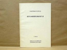 愛知県豊橋市雲谷町所在 船形山城跡測量調査報告書