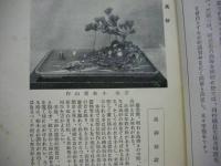 紫山流盤景月報　第2号