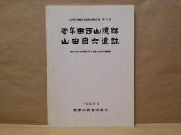 菅牟田西山遺跡・山田団六遺跡　国営上場水利事業に伴う埋蔵文化財発掘調査