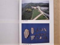 菅牟田西山遺跡・山田団六遺跡　国営上場水利事業に伴う埋蔵文化財発掘調査