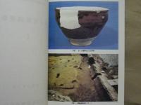 埋蔵文化財調査集報 1　大津市埋蔵文化財調査報告書(4)