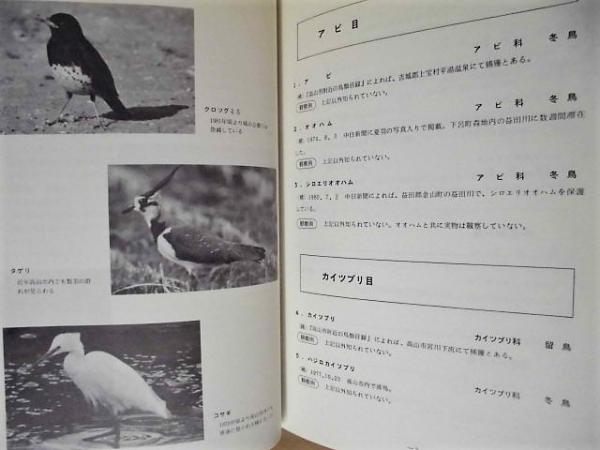 飛騨地方の野鳥目録(編集発行/日本野鳥の会岐阜支部飛騨ブロック