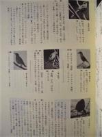 ［2点］ 美濃 飛騨 人と鳥　20年の歩み、美濃 飛騨 人と鳥 II　鳥の方言と民話