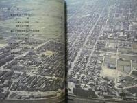 緑豊かな住みよい都市づくり　稲沢市総合計画ダイジェスト版
